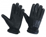 Winter  Gloves